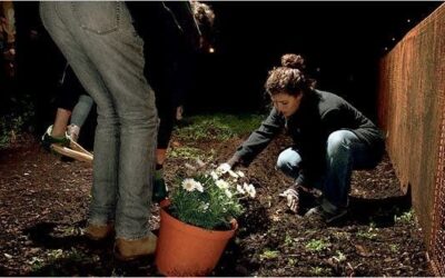 Zwei Menschen bepflanzen gemeinsam ein Stück Erde neben einem Zaun