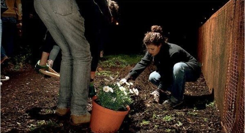 Zwei Menschen bepflanzen gemeinsam ein Stück Erde neben einem Zaun