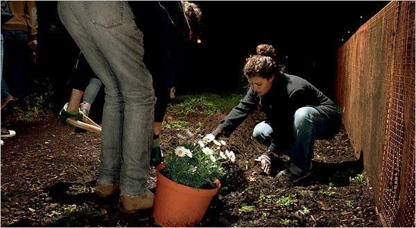 Zwei Menschen bepflanzen gemeinsam ein Stück Erde neben einem Zaun
